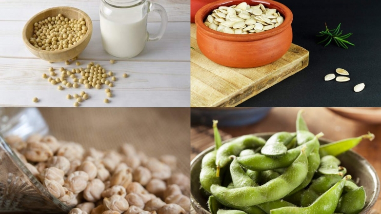 کدام مواد غذایی غنی از پروتئین هستند؟