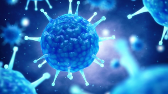 10 واقعیت مهم درباره ویروس کرونا