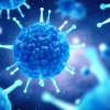 10 واقعیت مهم درباره ویروس کرونا